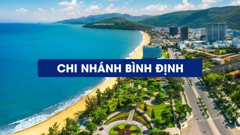 Sửa bếp từ tại Bình Định