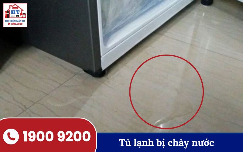 Tủ lạnh chảy nước Tủ lạnh bị chảy nước ra sàn nhà, dấu hiệu rò rỉ cần kiểm tra